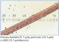 tailleParticule.jpg