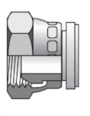BOUCHON TETE H INOX F BSPP 1/4